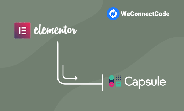 WCC - Elementor Forms to Capsule CRM